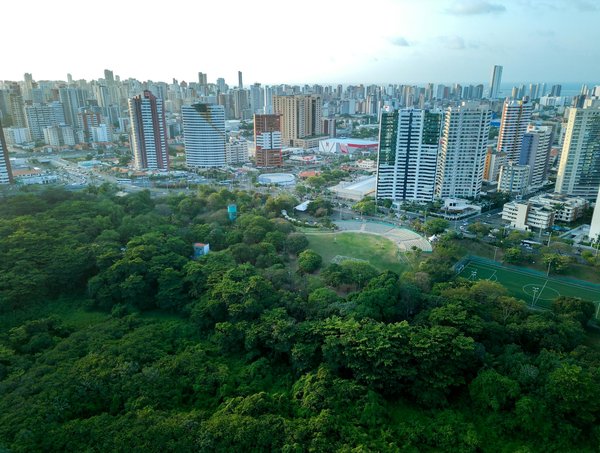 Panneau solaire photovoltaïque : passez à l'énergie verte !