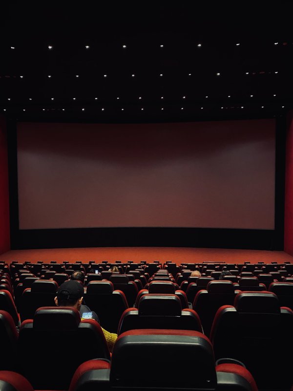 Comment les cinémas locaux peuvent-ils utiliser des films documentaires pour sensibiliser aux enjeux environnementaux ?